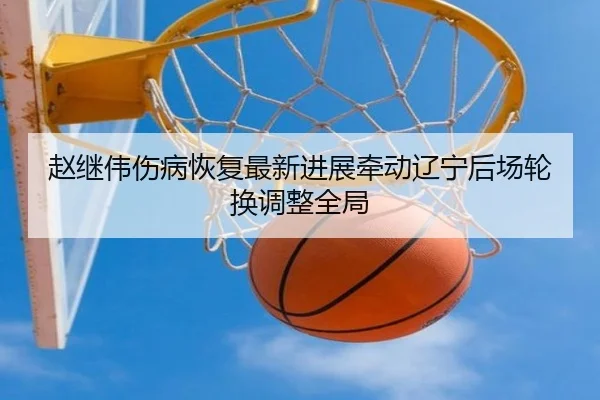 赵继伟伤病恢复最新进展牵动辽宁后场轮换调整全局